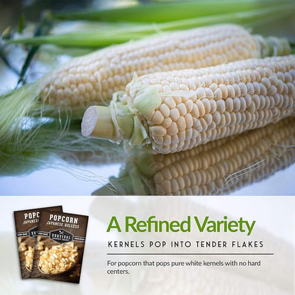 Survival Garden Seeds - Japanese Hulless Popcorn Seed for Planting - 5 Packets with Instructions to Plant & Grow Delicious Kernel Popcorn in Your Home Vegetable Garden - Non-GMO Heirloom Variety Seed