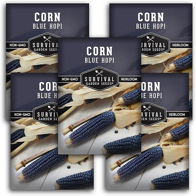 Blue Hopi Corn Seeds for Planting - Plant & Grow Heritage Blue Maize in Your Home Vegetable Garden - Non-GMO Heirloom Variety - Survival Garden Seeds (5 Packs)