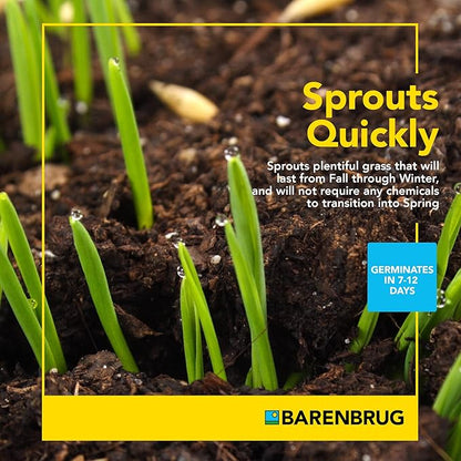 BARENBRUG USA 24049 Winter Wonderlawn Grass Seed, 10 lb