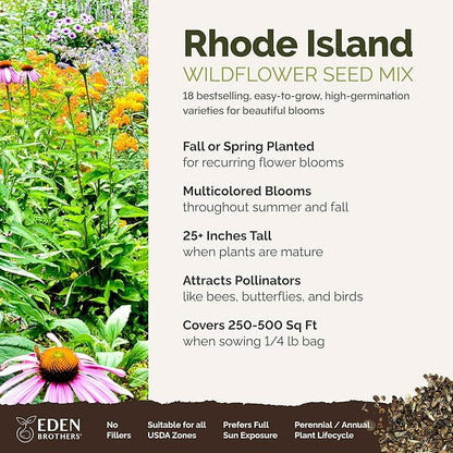Eden Brothers Rhode Island Wildflower Mixed Seeds for Planting, 1/4 lb, 120,000+ Seeds with WallFlower, Sunflower | Attracts Pollinators, Plant in Spring or Fall, Zones