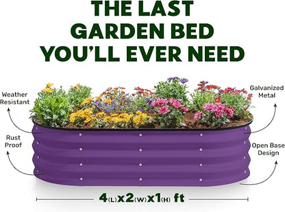 Plant & Plot Galvanized Raised Garden Beds Outdoor // 4×2×1 ft Planter Raised Beds for Gardening, Vegetables, Flowers (Purple) // Large Metal Garden Box