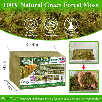 Halatool 4.4LB Green Forest Moss Natural Sphagnum Moss for Plants Fluffy Orchid Moss for Orchids Repotting Dried Plant Moss for Potted Plants Indoor & Outdoor
