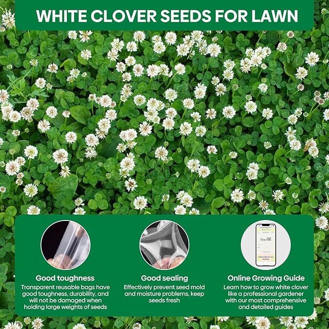 White Clover Seeds, 5 lbs, Perennial White Dutch Clover Seed for Lawn, Ground Cover, Nitrocoated and Inoculated, Attracts Pollinators