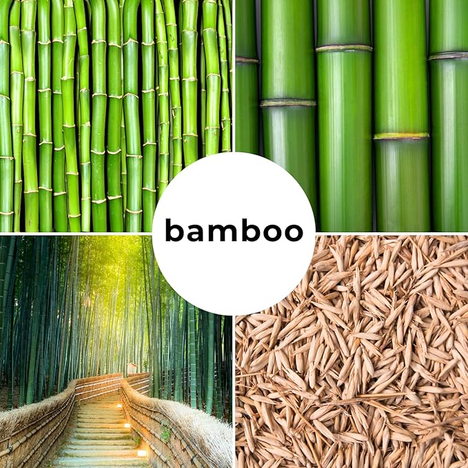 420 Giant Bamboo Seeds for Planting - Fast Growing Bamboo Ideal Privacy Screen, Windbreak, Garden Accent or Landscaping – Easy Planting - Striking Dark Stems