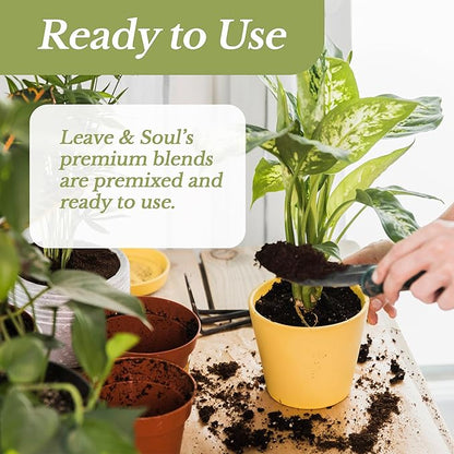 Professional African Violet Plant Soil | Premium All Purpose Blend | Large 2.2 Quarts | Ready to Use for Indoor Flowering Plants | Peat Moss, Coco Coir, Perlite, Dolomite | Made in USA
