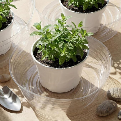 Hoolerry 15 Pcs Plastic Plant Saucer Clear Deep Drip Tray Thickened Clear Plant Saucers Trays for Pots Deep Drip Trays for Home Garden Indoor and Outdoor Potted (10,12,14 Inch)