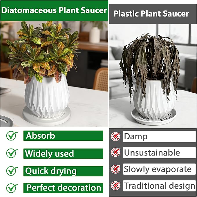 Plant Saucer Flower Pot Saucers Plant Trays for Pots Instant Dry Diatomaceous Earth Round Plant Drip Trays for Indoors Keeping Counter and Floors Dry and Clean (2Pcs White Small)