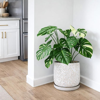 D'vine Dev 10 Inch Embossed Leaves Stoneware Planter Pot with Drainage Hole and Saucer, Smoked White, 27-A-P-1