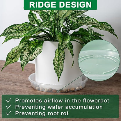 Plant Saucer - 6 Pack 6 Inch Plastic Plant Trays for Pots with Plant Tray Design - Plant Saucers for Indoors and Outdoors No Holes Use - Plastic Plant Saucer for Potted Plants - Plant Drip Trays
