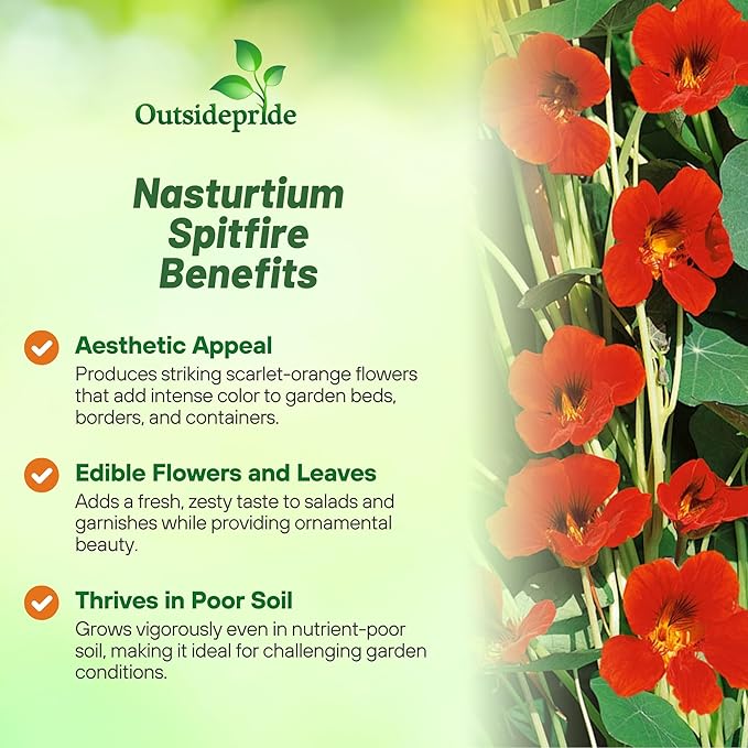 Outsidepride Orange Spitfire Nasturtium Seeds - 200 Pcs Annual, Easy to Grow & Versatile, Flower Seeds for Planting Vibrant Orange-Scarlet Blooms, Ideal for Gardens, Borders, and Pollinator Gardens