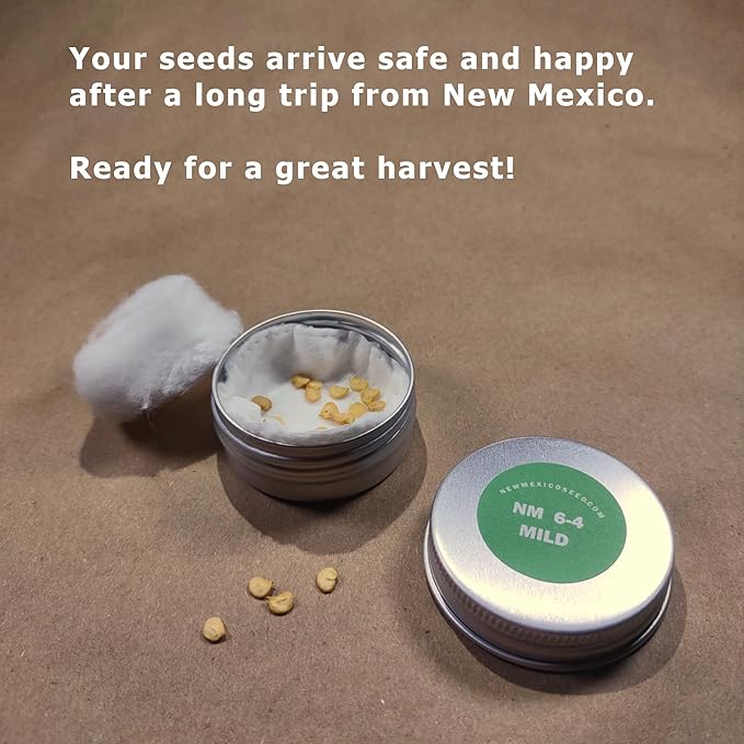 New Mexico 6-4 Chile Seeds from Hatch | Mild Green Chili | Red Chili Peppers | Heritage Non-GMO | Produced for 2026