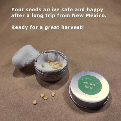 New Mexico 6-4 Chile Seeds from Hatch | Mild Green Chili | Red Chili Peppers | Heritage Non-GMO | Produced for 2026