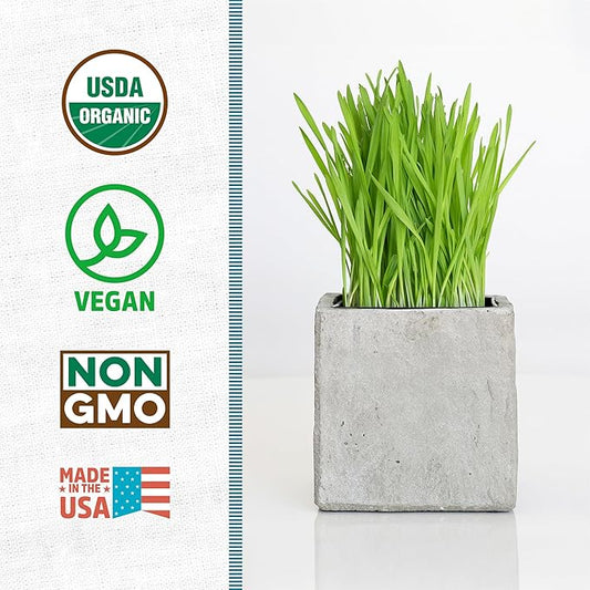 Back to The Roots 100% Organic Wheatgrass Seeds | 1 Pound Non-GMO | Nutrient Dense, Easy to Grow | Cat Grass Planter Seeds