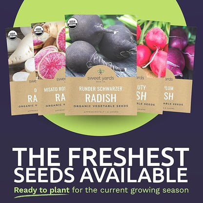 Organic Radish Seeds Variety Pack - 10 Individual Packs - 2026 Season - Pink Beauty, Purple Plum, French Breakfast, Misato Rose and More! for Indoor & Outdoor Planting (Non-GMO, Certified Organic)