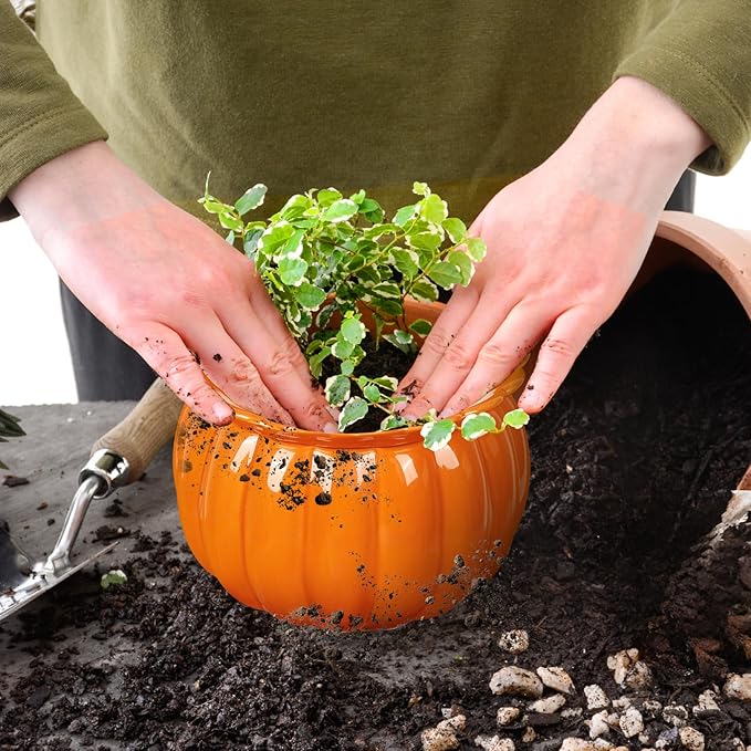 African Violet Pots, Self-Watering Ceramic Planter – 6 Inch Pot for Indoor Plants, Simple Self-Watering Design for Home & Office Décor, Bright Pumpkin Orange