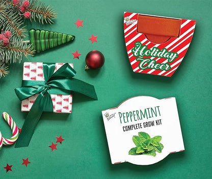BUZZY Seeds Holiday Candy Cane Mini Terracotta Grow Pots, 6-Pack Peppermint Seeds, Indoor Plant Starter Kit, Stocking Stuffers, Party Favors