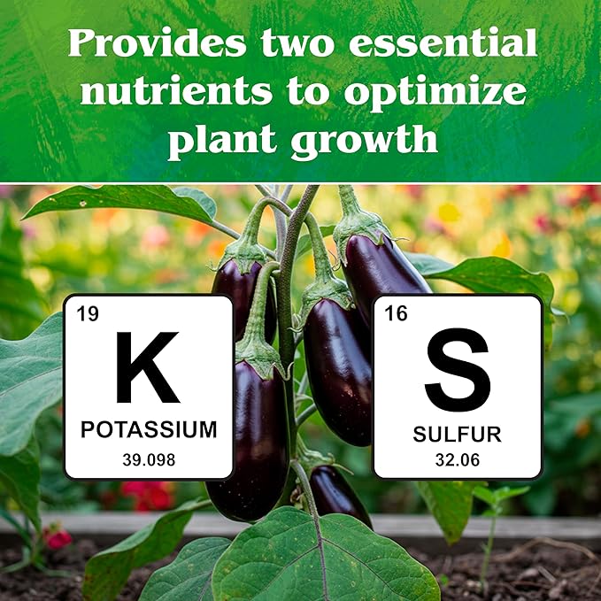 Down To Earth All Natural Fertilizers Organic Solution Grade Potassium Sulfate - Professional Grade SOP Powder 200 mesh for Liquid or Spray Applications 0-0-50, 1 lb