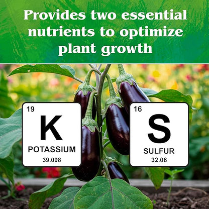 Down To Earth All Natural Fertilizers Organic Solution Grade Potassium Sulfate - Professional Grade SOP Powder 200 mesh for Liquid or Spray Applications 0-0-50, 1 lb