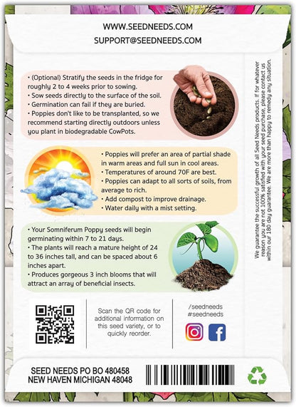 Seed Needs Mixed Somniferum Poppy Seeds for Planting - Heirloom & Open Pollinated Annual Flowers - Colorful Masses of Wildflowers, Perfect for a Butterfly Garden (5 Packs)