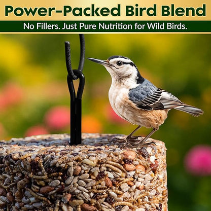 Bugs, Nuts & Berries Bird Seed Cylinders with Hole – Wild Bird Food for Blue Birds, Woodpeckers, Cardinals & More – Premium Protein-Rich All Natural Blend, No Fillers – USA Made (4" x 7.75")
