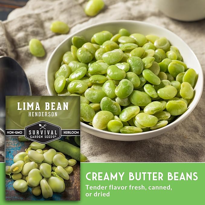 Lima Bean Seeds for Planting – Henderson Butter Bean Seeds for Gardens & Classroom Science Projects, Easy to Grow Non-GMO Heirloom Variety - Survival Garden Seeds (2 Packs)