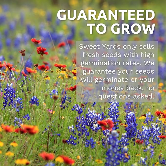 Southwest Regional Mix - Bulk 1/4 Pound Pouch - 60,000 Flower Seeds for Planting - Wildflower Mix