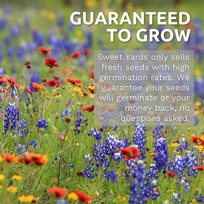 Zinnia Crazy Blend - Large 1 Ounce Packet - 4,000 Flower Seeds for Planting - Zinnia elegans