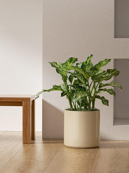 LE TAUCI 12 Inch Pot for Plants, Ceramic Planters for Indoor Plants, Mid-Century Modern Cylinder Flower Pots with Drainage Hole, Fits Fiddle Leaf Fig & Monstera, Home Decor, Sand Beige