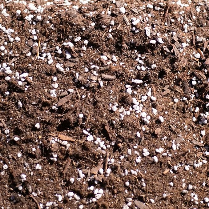 IvyMay Redwoods Potting Soil ― Organic Potting Mix for Indoor House Plants & Aroids, Ready to Use Potting Soil Indoor Plants with Perlite, Earthworm Castings, Essential Oils ― 4 qt (8 Quarts)