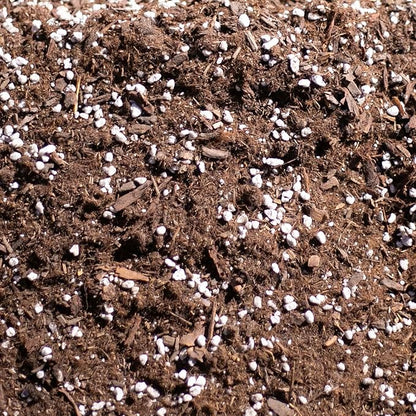 IvyMay Redwoods Potting Soil ― Organic Potting Mix for Indoor House Plants & Aroids, Ready to Use Potting Soil Indoor Plants with Perlite, Earthworm Castings, Essential Oils ― 4 qt (8 Quarts)