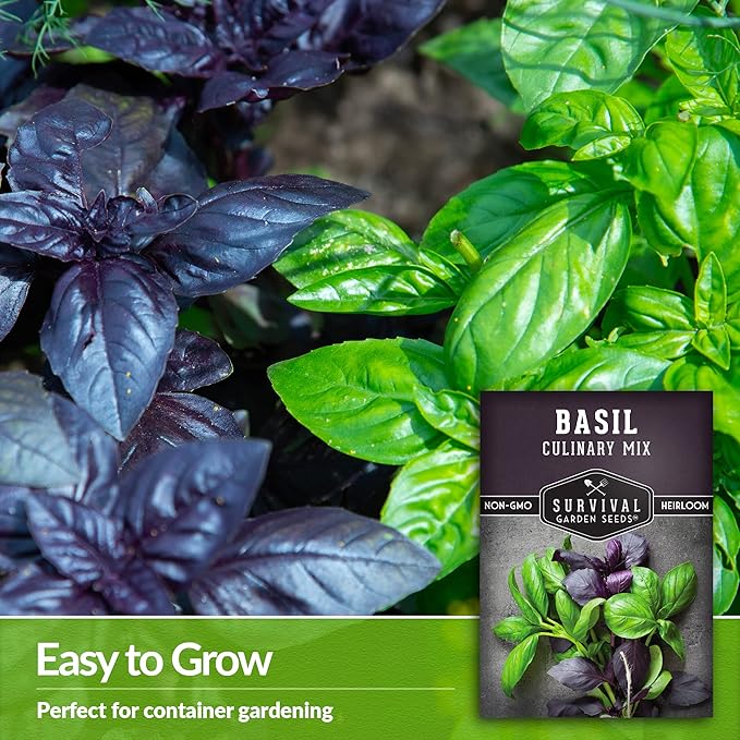 Basil Seeds Mix for Planting - Culinary Genovese Italian, Lemon, Lime, Opal & Thai Basil Seed Blend - Heirloom Non-GMO Kitchen Garden Herbs - Survival Garden Seeds (5 Packs)