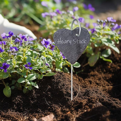 20Pack Silver Plant Label Hooks,Rust-Proof Garden Stake Markers, 30cm/11.81in Plant Sign Supports for Flowers, Planters, and Containers.