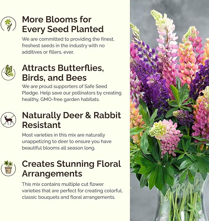 Eden Brothers Lupine Flower Mixed Seeds for Planting, 1 lb, 480,000+ Seeds with Russell, Arroyo, Yellow, Sky Lupine | Attracts Pollinators, Plant in Spring or Fall, Zones 3, 4, 5, 6, 7, 8, 9, 10