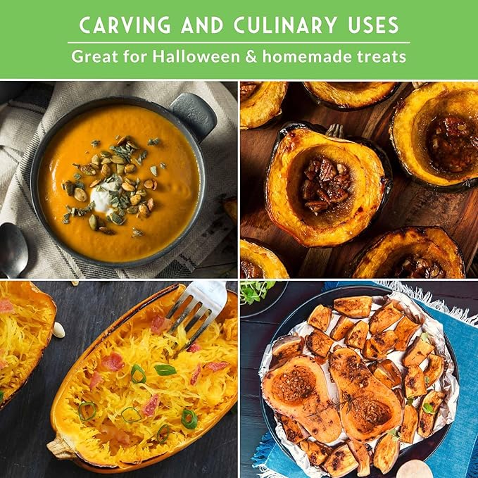 Winter Squash Variety Pack – 4 Heirloom Types for Planting: Butternut, Acorn, Pink Banana & Spaghetti – Non-GMO Garden Vegetables – Survival Garden Seeds