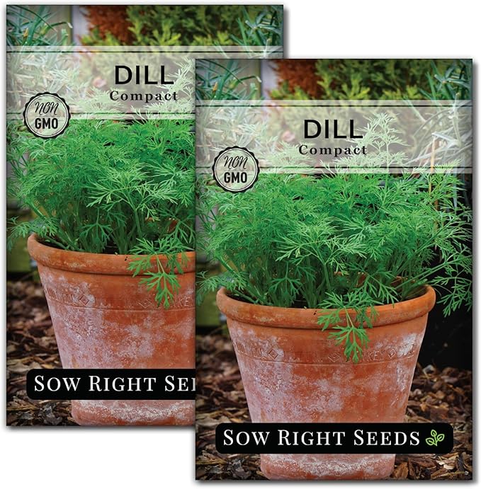 Sow Right Seeds - Compact Dill Seeds for Planting - Non-GMO Heirloom Packet with Instructions to Grow an Outdoor or Indoor Herb Garden - Great for Pickling - The Perfect Patio & Container Size (2)