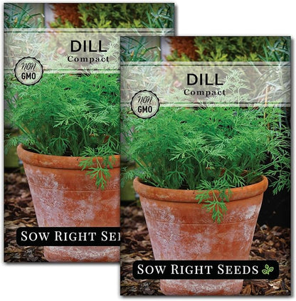 Sow Right Seeds - Compact Dill Seeds for Planting - Non-GMO Heirloom Packet with Instructions to Grow an Outdoor or Indoor Herb Garden - Great for Pickling - The Perfect Patio & Container Size (2)