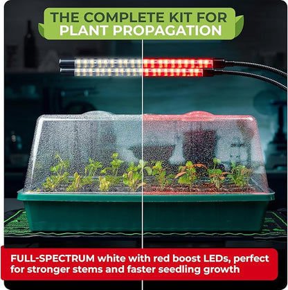 CARPATHEN Seed Starter Tray with Grow Lights and Heating Mat - 40 Cell Plant Germination Tray with 4.7" Humidity Dome Seed Starter Kit for Indoor Seed Starting and Propagation