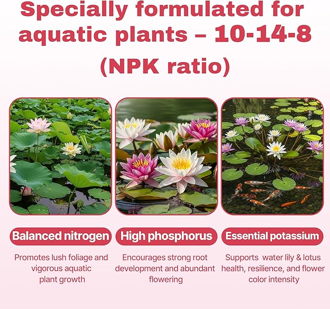 Aquatic Plant Fertilizer for Water Lily and Lotus,Water Lily Fertilizer Tablets-Fish Friendly,LotusFertilizer- Supports Lily and Lotus Blooming & Root Growth,Pond PlantFertilizer-100 Tablets
