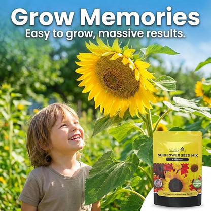NatureZ Edge 1300+ Sunflower Seeds Garden Variety Pack, Bulk Sunflower Seeds for Planting Flowers, Get More Sunflower Seeds to Plant, Mammoth, Dwarf, Lemon Queen, Giant and More. 2oz Packet