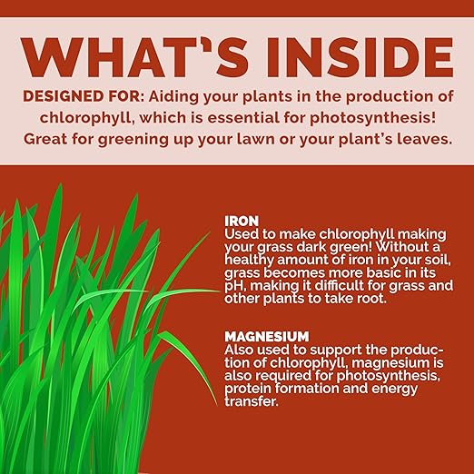 Chelated Liquid Iron – Bloom City Organic Iron Supplement for Lawns & Plants – 1 Gallon