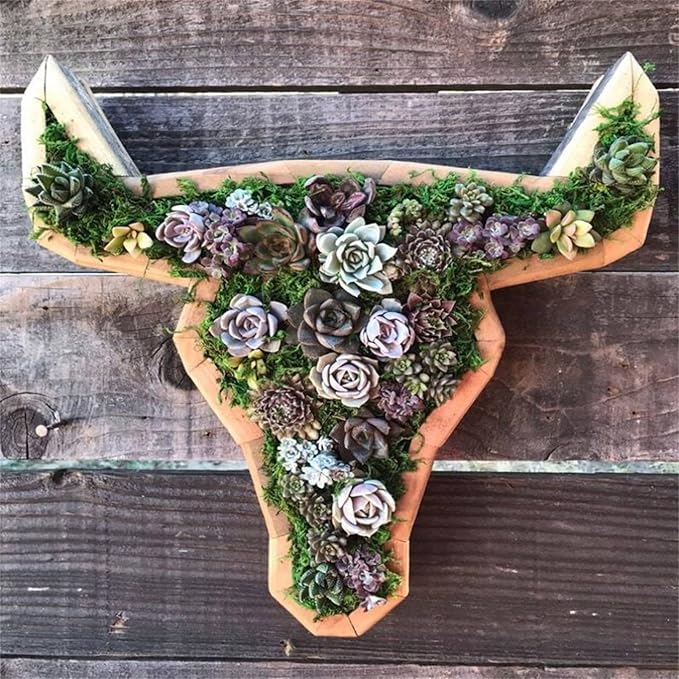 Animal Shaped Wooden Succulent Plant Pot,Cute Animal Succulent Garden Planter for Bonsai Decorations,Creative Unique Desktop Planter Planter Outdoor Pots Garden Decorations (Cow)