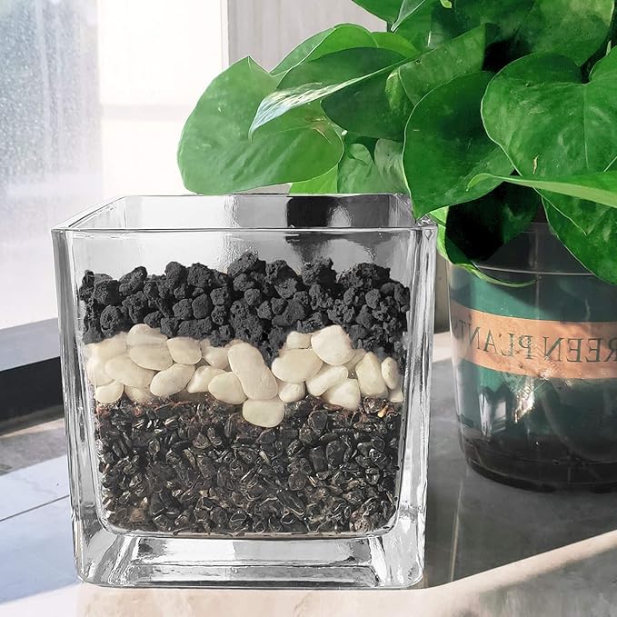 Black Lava Rocks for Plants -100% Pure Volcanic Rock No Dyes or Chemicals-Best Lava Stones Top Dressing for Cacti Succulents Plants,Bonsai-5LBS