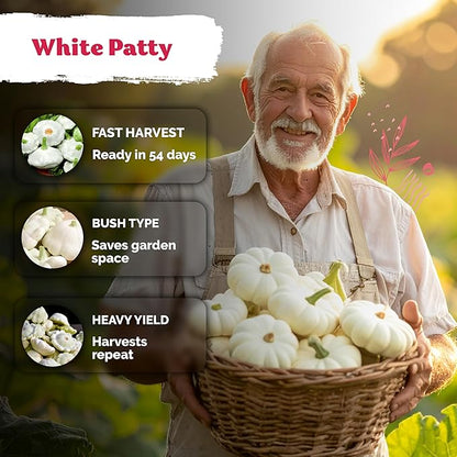 KVITER 50 White Patty Pan Squash Seeds (Cucurbita Pepo) – Scallops Bush Summer Squash Seed Packets for Vegetable Garden – Non GMO Heirloom Vegetable Seeds for Planting Outdoors, Home Garden