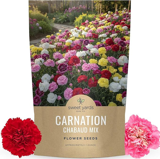 Carnation Chabaud Mix – Large 1 Ounce Seed Packet – 16,000 Flower Seeds for Planting – Dianthus caryophyllus