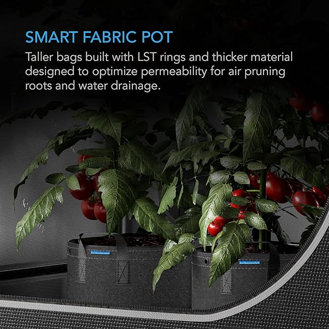 AC Infinity Heavy Duty Fabric Pots, 15 Gallon Aeration Reusable Grow Bags 5-Pack with 500G Thick Nonwoven Fabric and Multi-Purpose Rings, for Plant Hanging and Low Stress Training