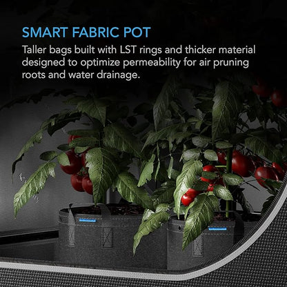 AC Infinity Heavy Duty Fabric Pots, 7 Gallon Aeration Grow Bags 5-Pack with 500G Thick Nonwoven Fabric and Multi-Purpose Rings, for Low Stress Plant Training Fruits, Vegetables, and Flowers
