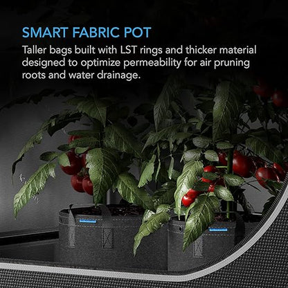 AC Infinity 10-Gallon Fabric Pots & Self-Watering Base XL Bundle – 5 Heavy-Duty Grow Bags with 4 Extra Large Auto-Irrigation Water Delivery Saucers for Indoor Tents, Greenhouses, and Gardens