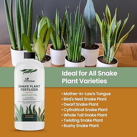 16oz Snake Plant Fertilizer for Snake Plant Live - Makes 96 Gallons of Fertilizer for Indoor Plants, Ideal for Healthy Growth, Strong Leaves, and Vibrant Color - Rich in Macro & Micronutrients