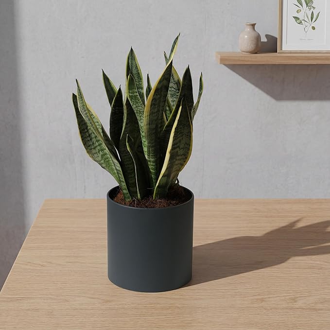 Metal Plant Pot with Drainage Hole,Mid Century Modern 7 inch Round Pot Indoor Outdoor Planters for Decorative Pots of Tabletop Living Room Bedroom Grey