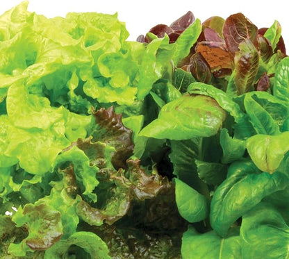 AeroGarden Heirloom Salad Greens Mix Seed pod Kit with Pre-Seeded Grow pods, Liquid Plant Food, and Growing Guide, 6-Pod